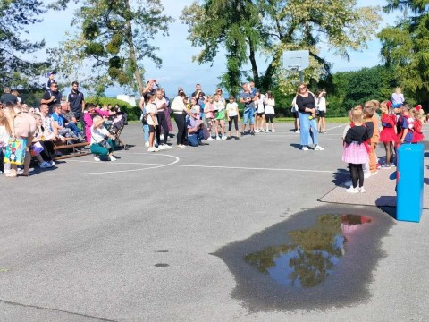 2028fde5-0fd0-4838-8179-683f31b2e37b