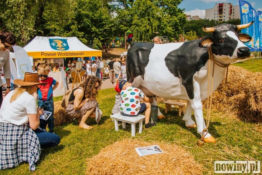 Powiatowy Festiwal Kultury