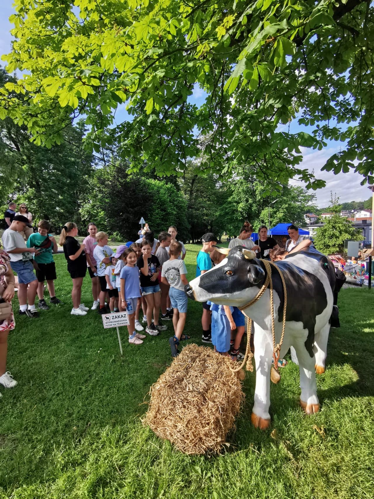Dzień Dziecka w stylu "Western piknik" w Sołectwie Bzie