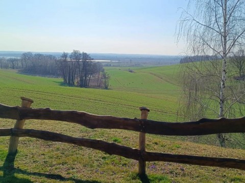 IMG-20250323-WA0019