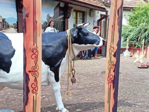 512515041-1861155518066209-613346191638849630-n