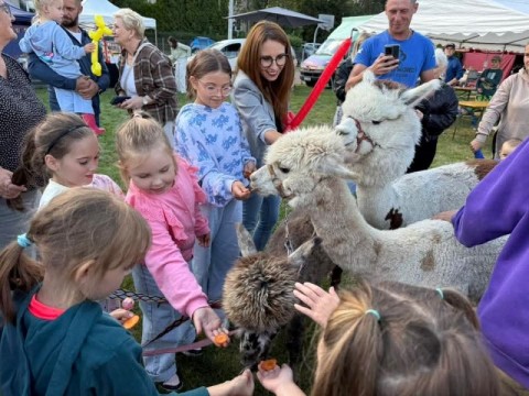 FB-IMG-1755974283851