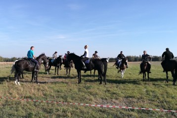 IMG-20181006-154502