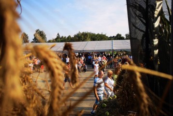 IMG-20190901-173451