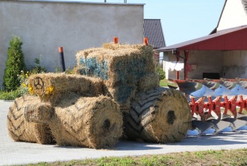 08img-4743