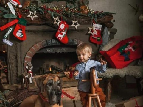 FB-IMG-1607362069779