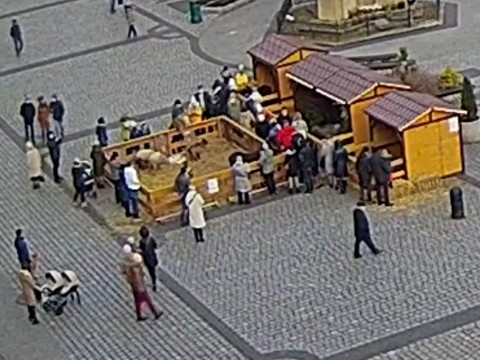 Screenshot-20201226-125728-com.android.chrome