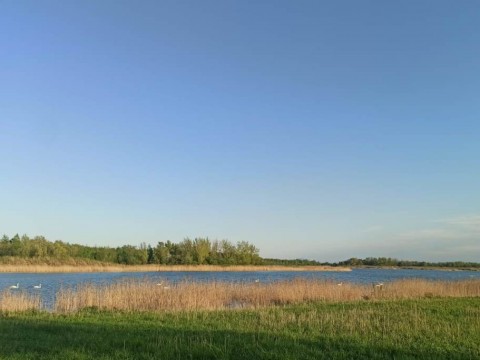 IMG-20210511-WA0014