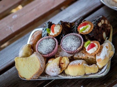 193817174-557281548990136-4896115886461777678-n