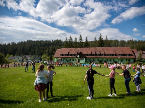 194642651-557282988989992-5526732635375508977-n