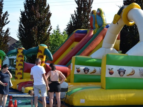 DSC-0295