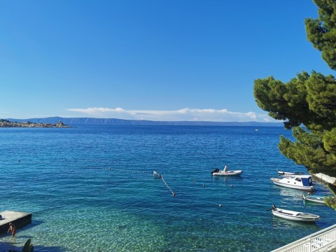 IMG-20210901-094515