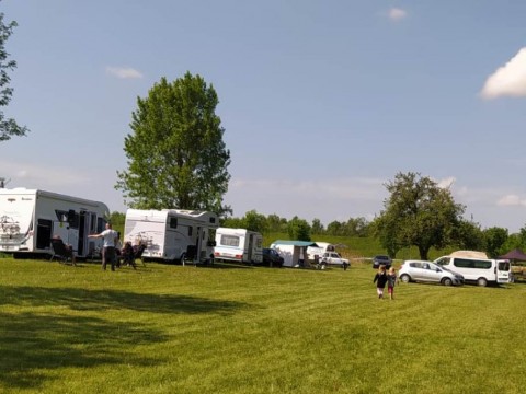 IMG-20220517-WA0004