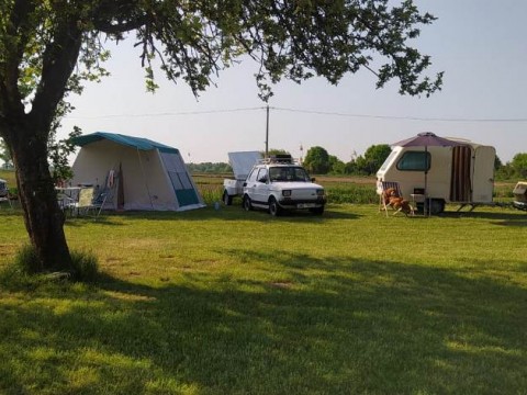 IMG-20220517-WA0019