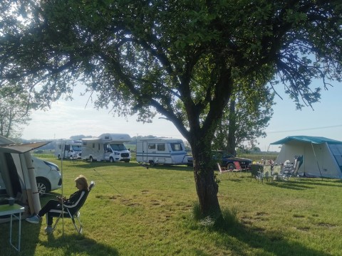 IMG-20220515-080417