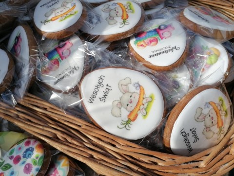 338149961-1185691265461488-750309936043562968-n