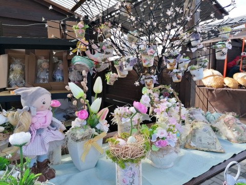 338709668-955020755846890-3540546594456496948-n