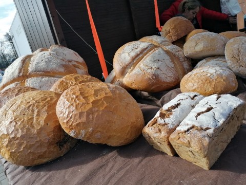 338823815-633547838602690-2477023918707588300-n