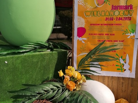 338860015-241107115032798-7308917484169006188-n