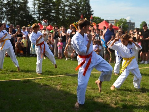 502902927-1135848088579590-3636494743995514819-n