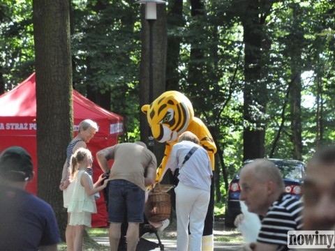 1693419-1750052714-99047500