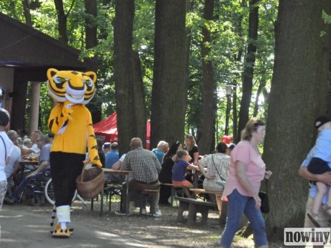 1693437-1750052729-31207400