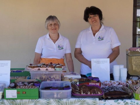 csm-DSC00675i-8c776ea310