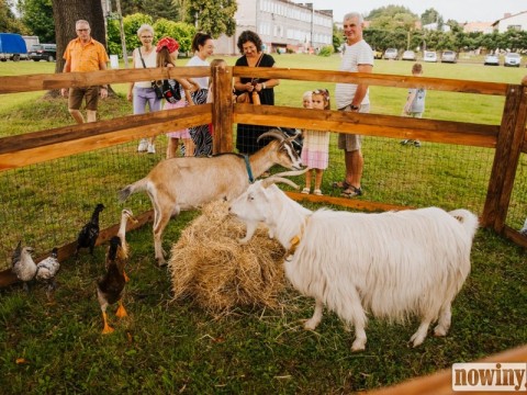 1716985-1754758408-26849500