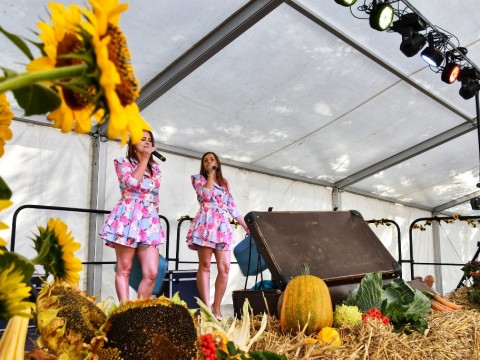 539192840-1218654123592599-217456160345004964-n