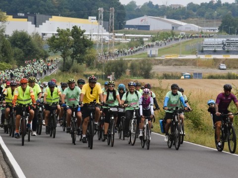 243060-1756745613-20976300