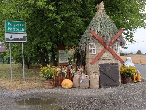 541838211-1179755867520967-2603779889790064984-n