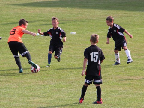 85-lat-przyszlosc-rogow-21