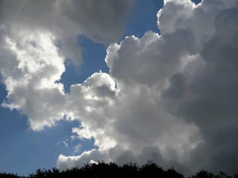 FB-IMG-1533585269369