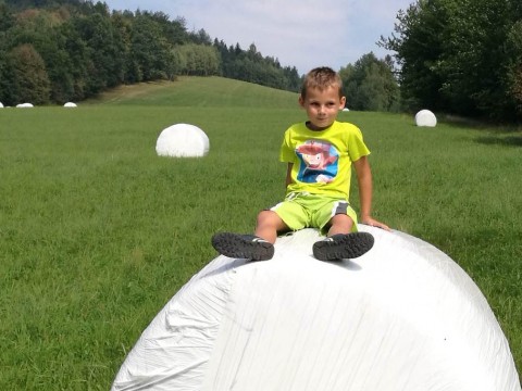 IMG-20180901-135921