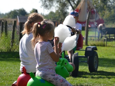 DSC-0275