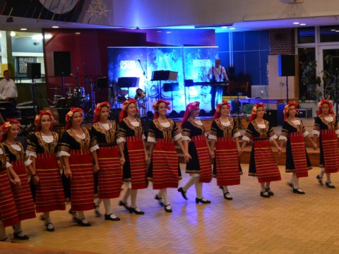 DSC-0596