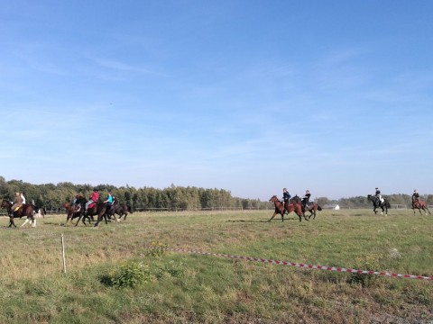 IMG-20181006-154412