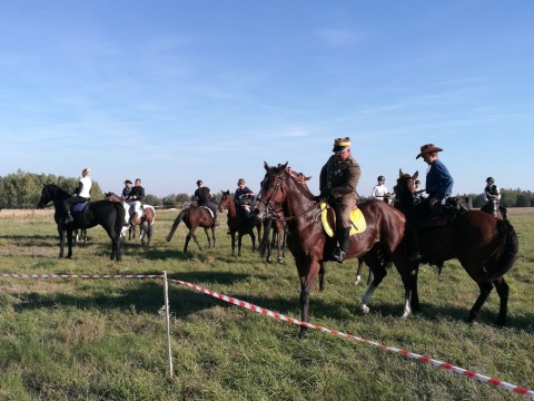 IMG-20181006-154449