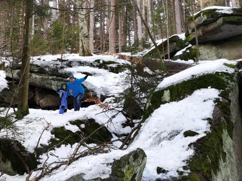 IMG-20190210-142758