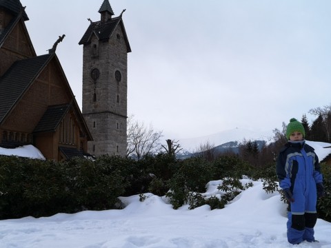 IMG-20190210-162535