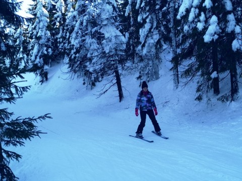 IMG-20190214-140041