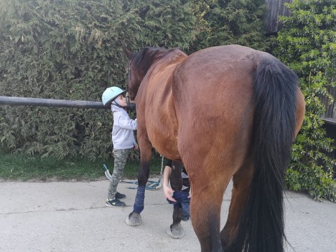 IMG-20190404-185433