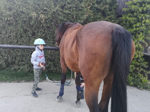 IMG-20190404-185435