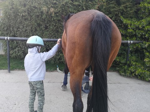 IMG-20190404-214226
