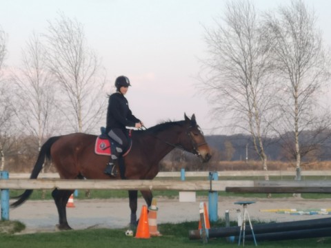 IMG-20190404-214414