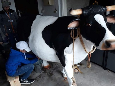 56414100-503147926883291-8638803631837020160-n