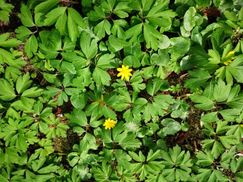 IMG-20190414-134246