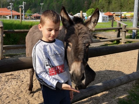 IMG-20190502-163721
