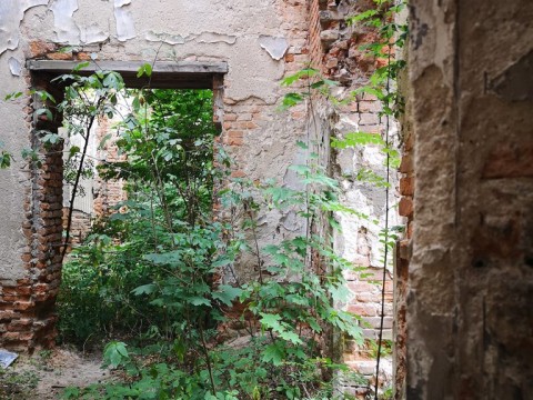 IMG-20190803-173343