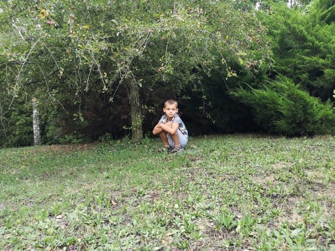 IMG-20190803-184410